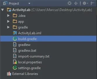 Screen capture showing the project file structure on Android Studio.